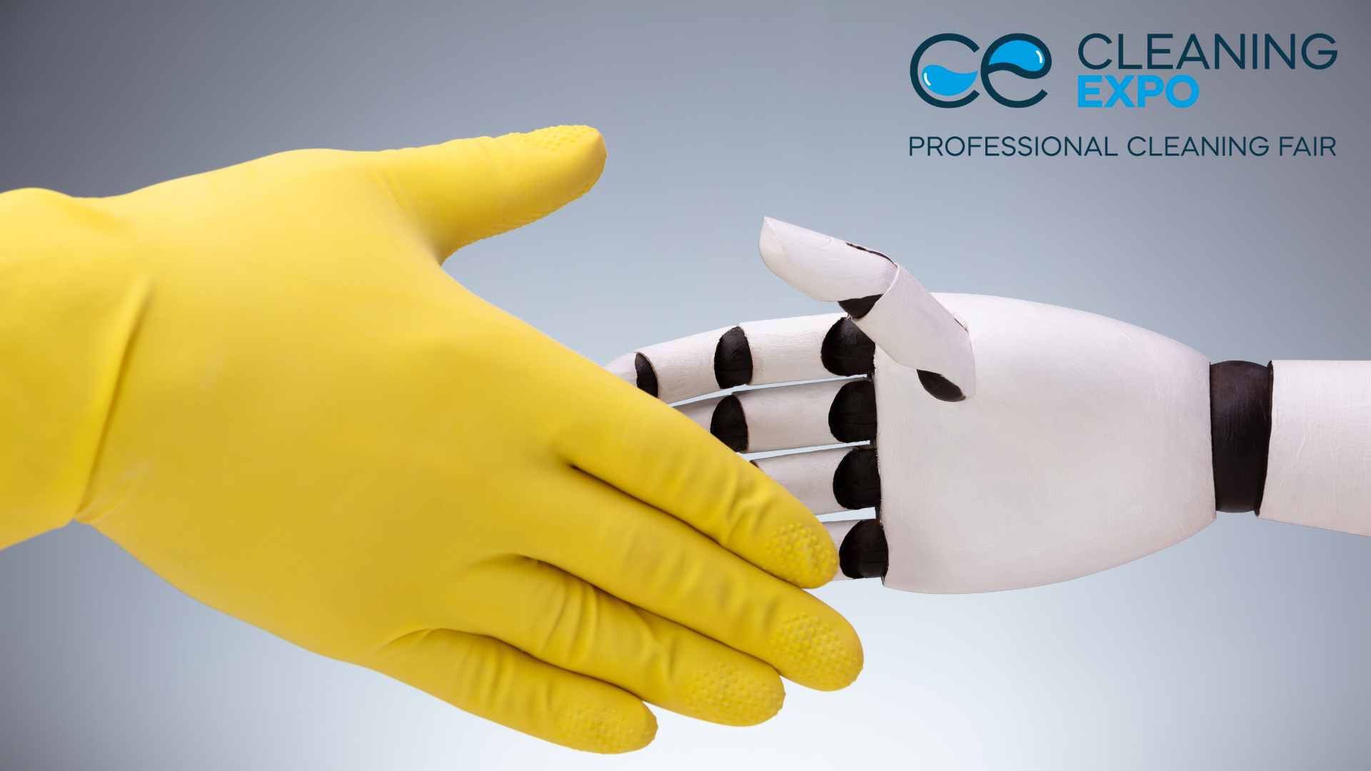 Leaders of the cleaning industry will show up in Poznań News